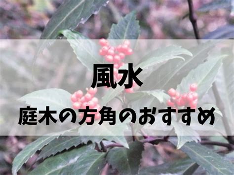 柿の木 風水|実のなる樹木は庭木に適さない？風水からみてどうなの